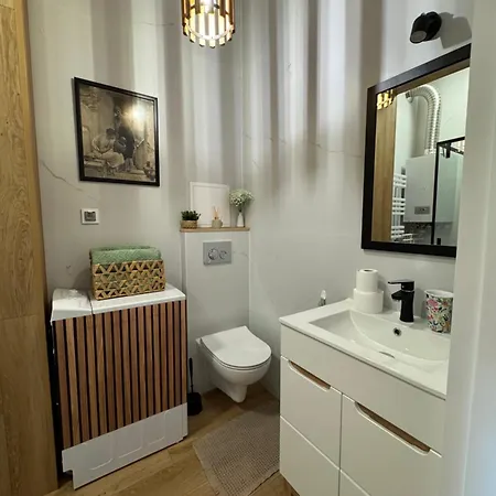 Zielona Kamienica Apartment