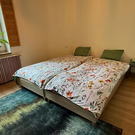 Zielona Kamienica Koszalin